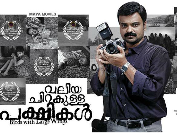  വലിയ ചിറകുള്ള പക്ഷികള്‍