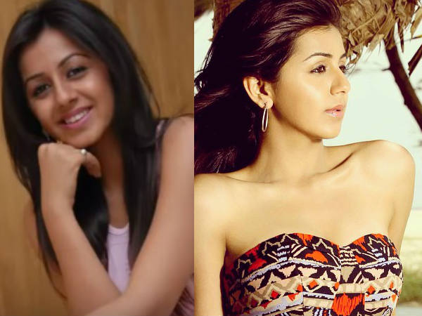 നിക്കി ഗല്‍റാണി