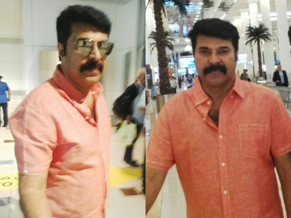 പുതിയ ലുക്ക്