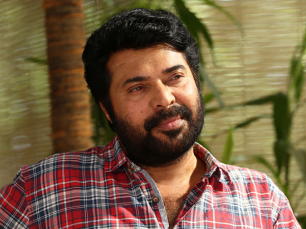 മമ്മൂട്ടി