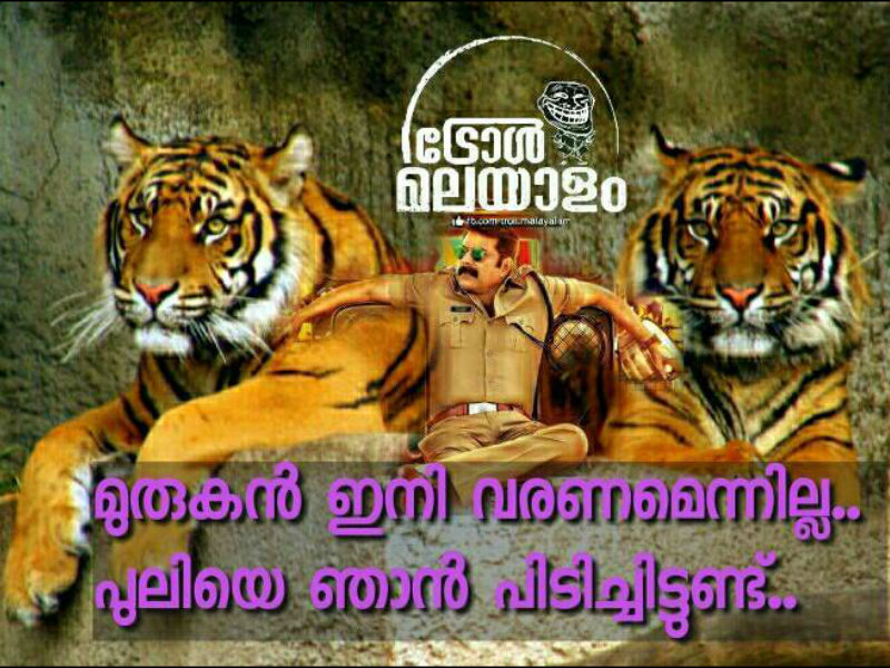 പുലിയെ പിടിച്ചു