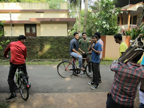 കോഴികള്‍