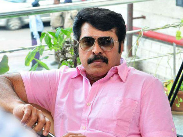 മമ്മൂട്ടി