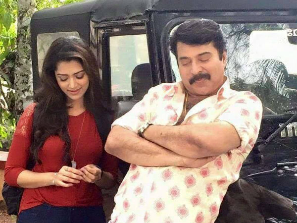 മമ്മൂട്ടിയ്ക്ക് പുറമെ