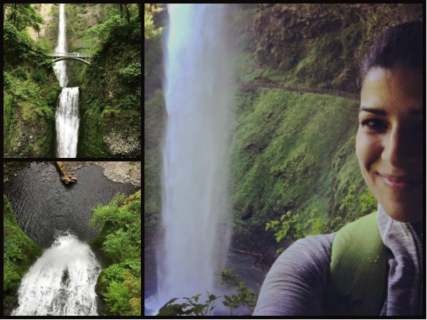 വെവാര്‍ഡ് പൈന്‍സ്