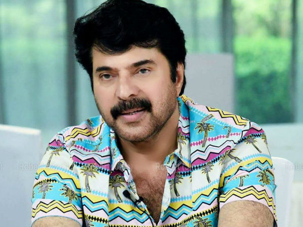 ധൈര്യമുള്ള നായിക