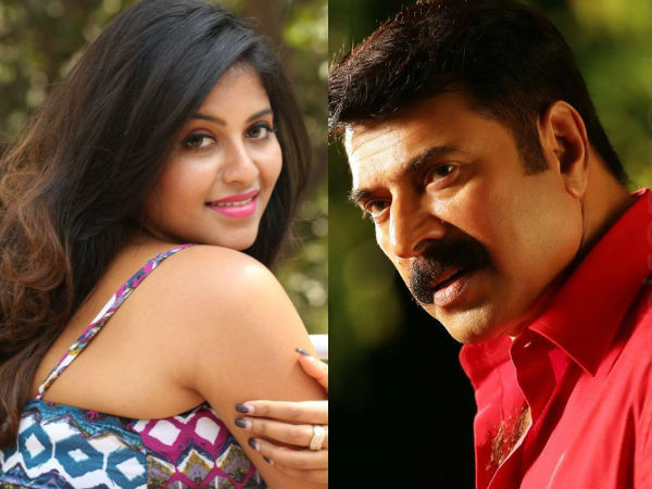 മമ്മൂട്ടി വന്നു