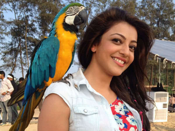 ടൂറ് പോലെ