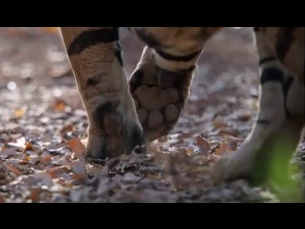 ചര്‍ച്ചയായി 