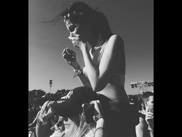 ഇലക്ട്രോണിക് സൂ ഫെസ്റ്റിവലില്‍