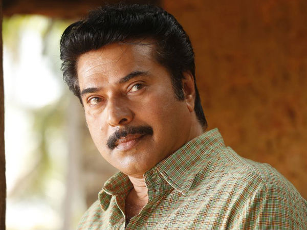 മമ്മൂട്ടി പറഞ്ഞത്