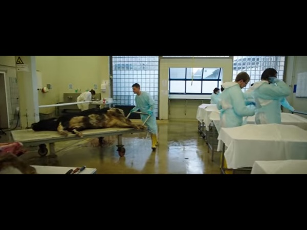 കാണികള്‍ ബോധം കെട്ടു വീണു