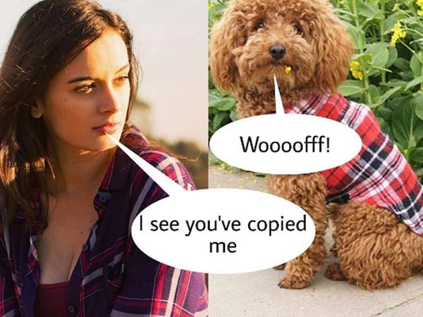 എന്നെ കോപ്പി അടിച്ച് പട്ടിക്കുട്ടി