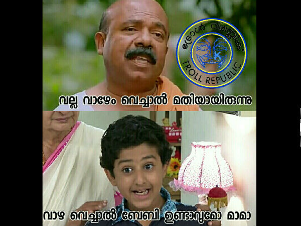 വാഴേം വച്ചാല്‍ മതിയായിരുന്നു