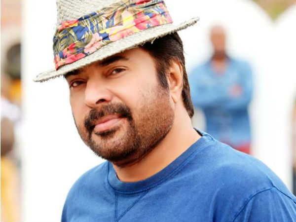 സ്ട്രീറ്റ് ലൈറ്റ്