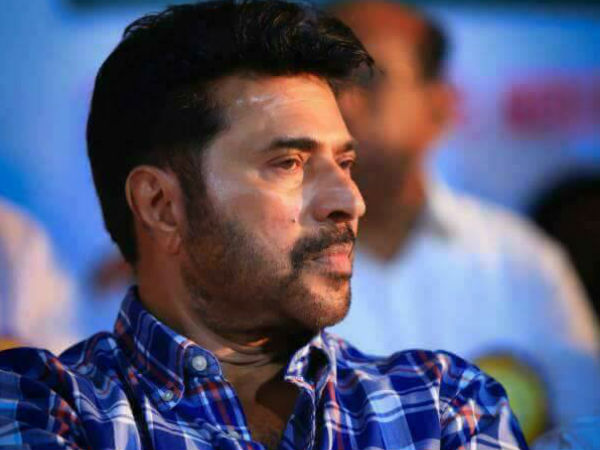 മമ്മൂട്ടി സിനിമയില്‍