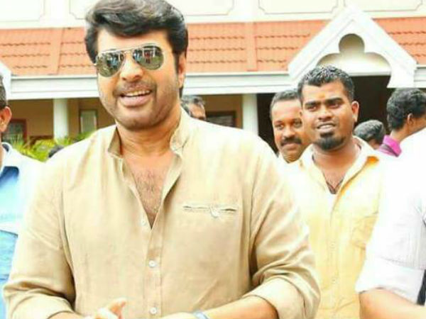 മമ്മൂട്ടി പറഞ്ഞത്