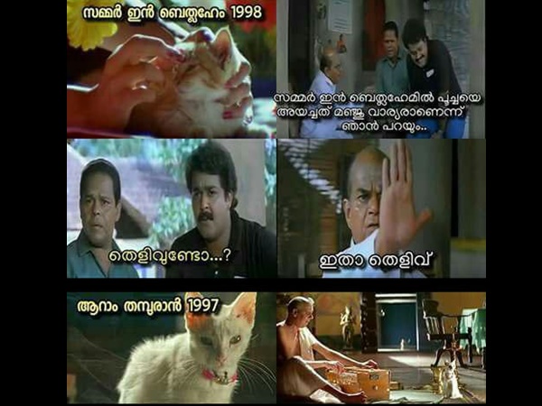  ആറാം തമ്പുരാനിലെ പൂച്ച