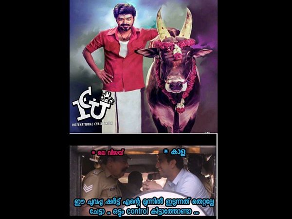 ചുവന്ന നിറവും കാളയും 