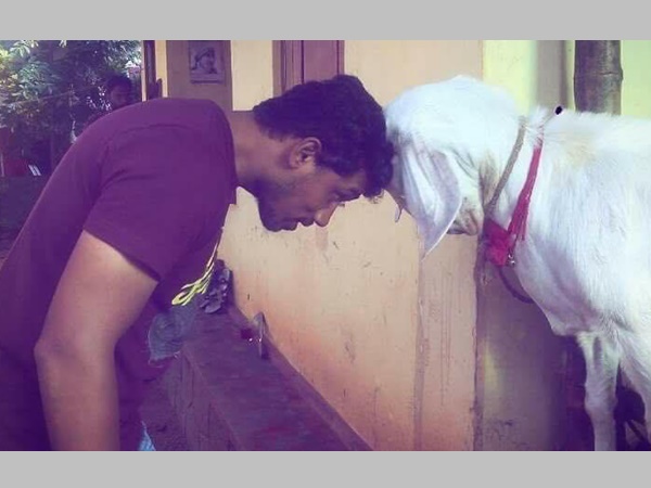 പിങ്കിയാണോ?