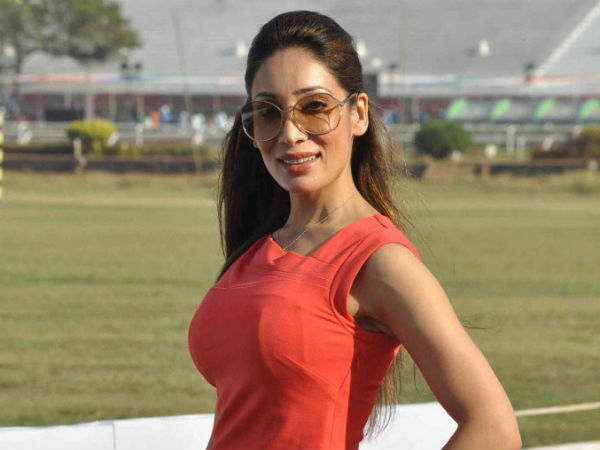 മെക്കാനിക്കല്‍ സെക്‌സാണ്