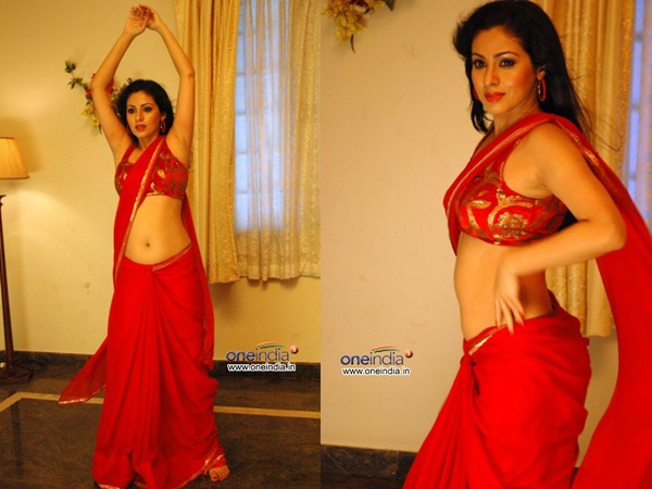  ടോര്‍ച്ച്‌ലൈറ്റ് 