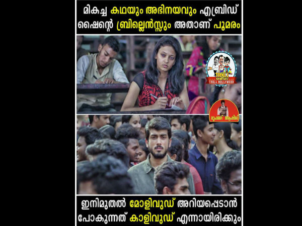 കാളിവുഡ്