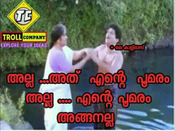 എന്റെ പൂമരമല്ല