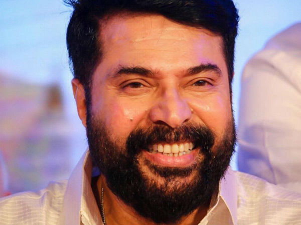 ചിത്രീകരണം ആരംഭിക്കുന്നു