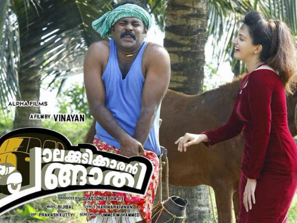 പാഡി ഒരുക്കിയത്