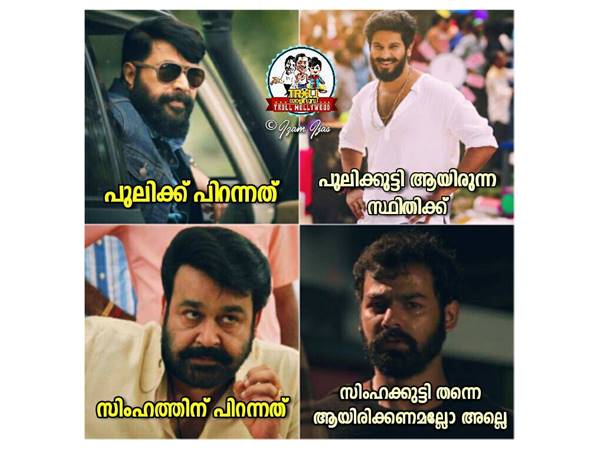 സിംഹത്തിന് പിറന്നത് സിംഹക്കുട്ടി