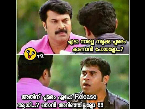 പൂമരം കാണാന്‍ പോയാലോ?