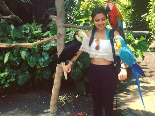 വാഹന രജിസ്‌ട്രേഷന്‍ കേസ്