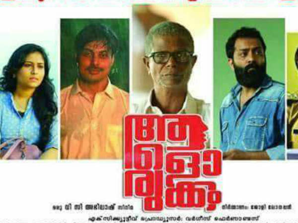 സാമൂഹ്യ പ്രസക്തിയുള്ള ചിത്രമായി ആളൊരുക്കം