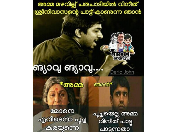 പൂച്ച കരയുന്നതോ..