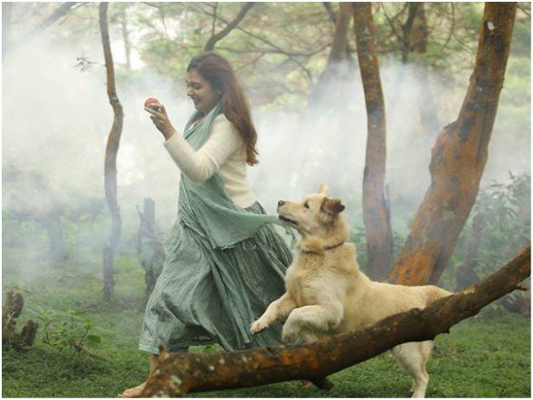 നസ്രിയയുടെ തിരിച്ചുവരവ്