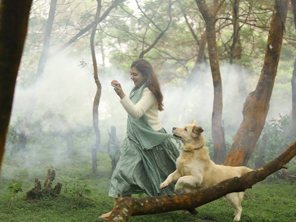 തുടക്കം ഗംഭീരം 