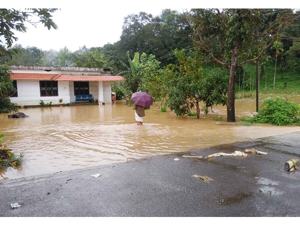 മാനസിക രോഗികൾ