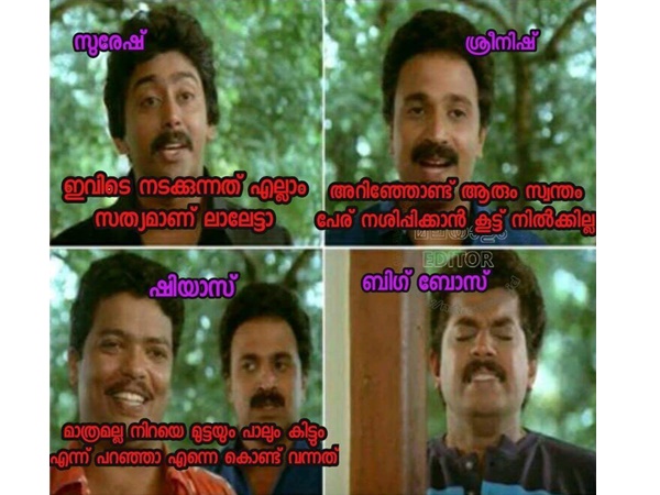 മുട്ടയും പാലും