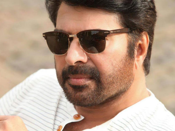 മമ്മൂട്ടിയെക്കുറിച്ച് സംവിധായകന്‍ പറഞ്ഞത്