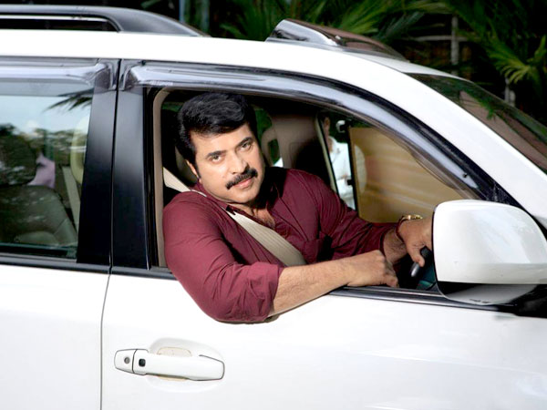 പുലിവാല് പിടിച്ച സംഭവം