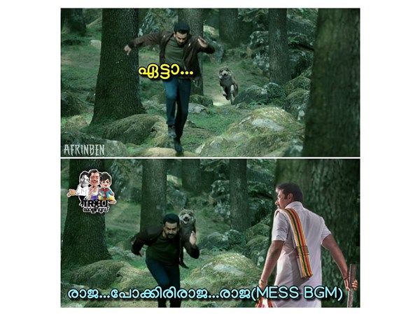 രാജയും സൂര്യയും