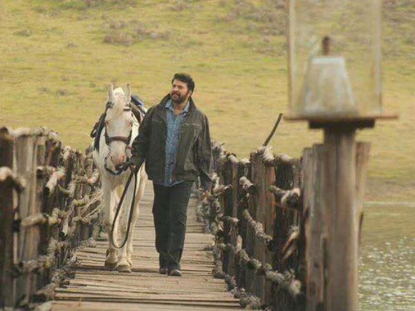 ശരിക്കും അത്ഭുതപ്പെടുത്തും