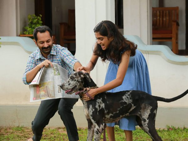  പുതിയ കളക്ഷന്‍ വിവരം