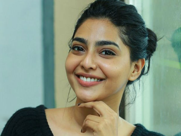  സിനിമയിൽ എത്തുന്നതിനു മുൻപ്