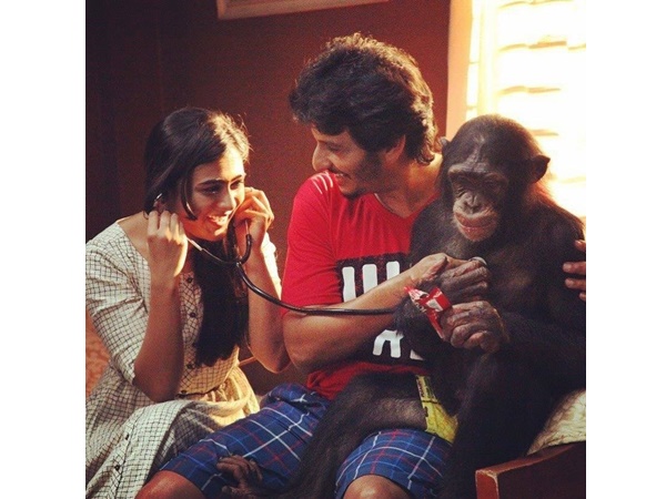 കോംഗ് എന്ന ചിമ്പാൻസി