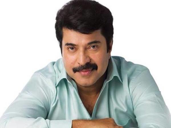  മമ്മൂട്ടിയുടെ വാക്കുകളിലേക്ക്...