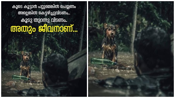 സഹായങ്ങളുമായി താരങ്ങള്‍ 