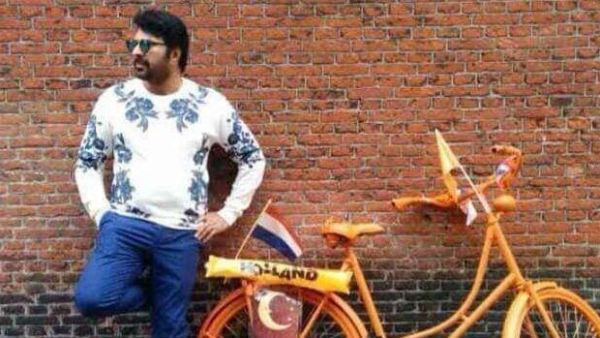 മധുരരാജയുടെ സംപ്രേഷണം