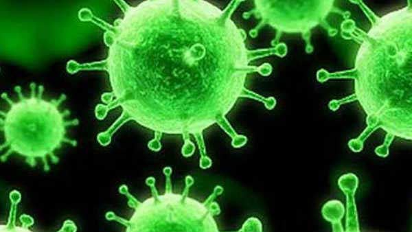 സംസ്ഥാനത്ത് 